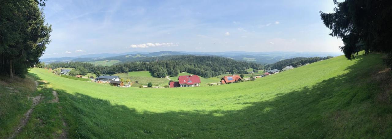 Marga'S Ferienwohnung Lembach im Muhlkreis Bagian luar foto
